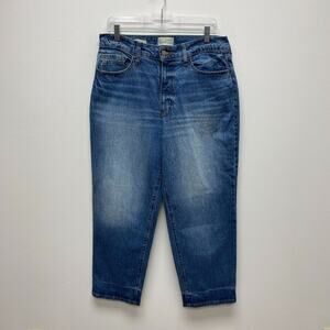 Universal Thread Womens Blue Denim High Rise Curvy Straight Leg Jeans 12/31R